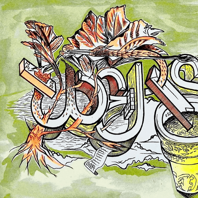 Soaer