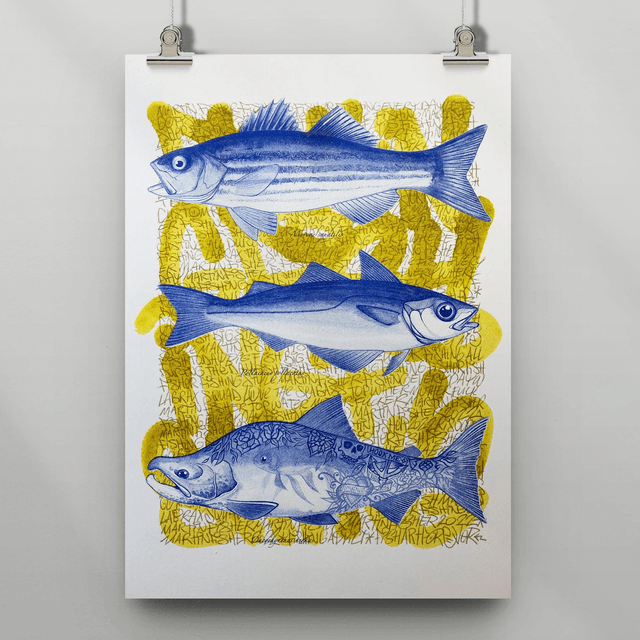 Martin Roulet - Poissons