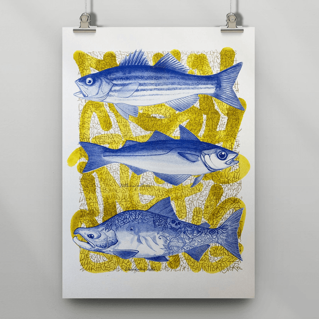 Martin Roulet - Poissons